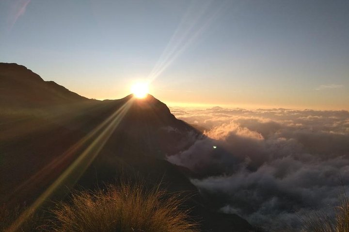 landscape Image
