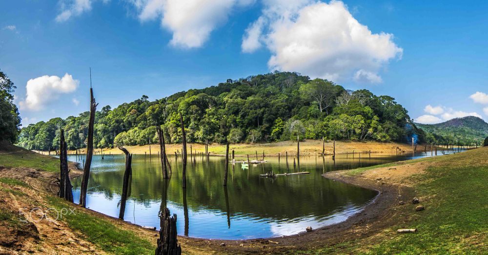 landscape Image