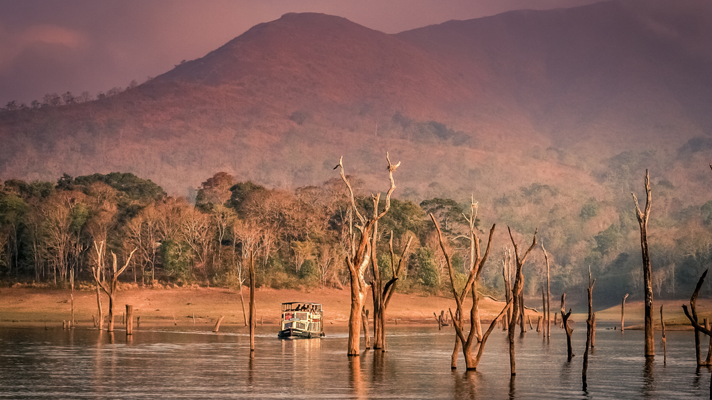 landscape Image