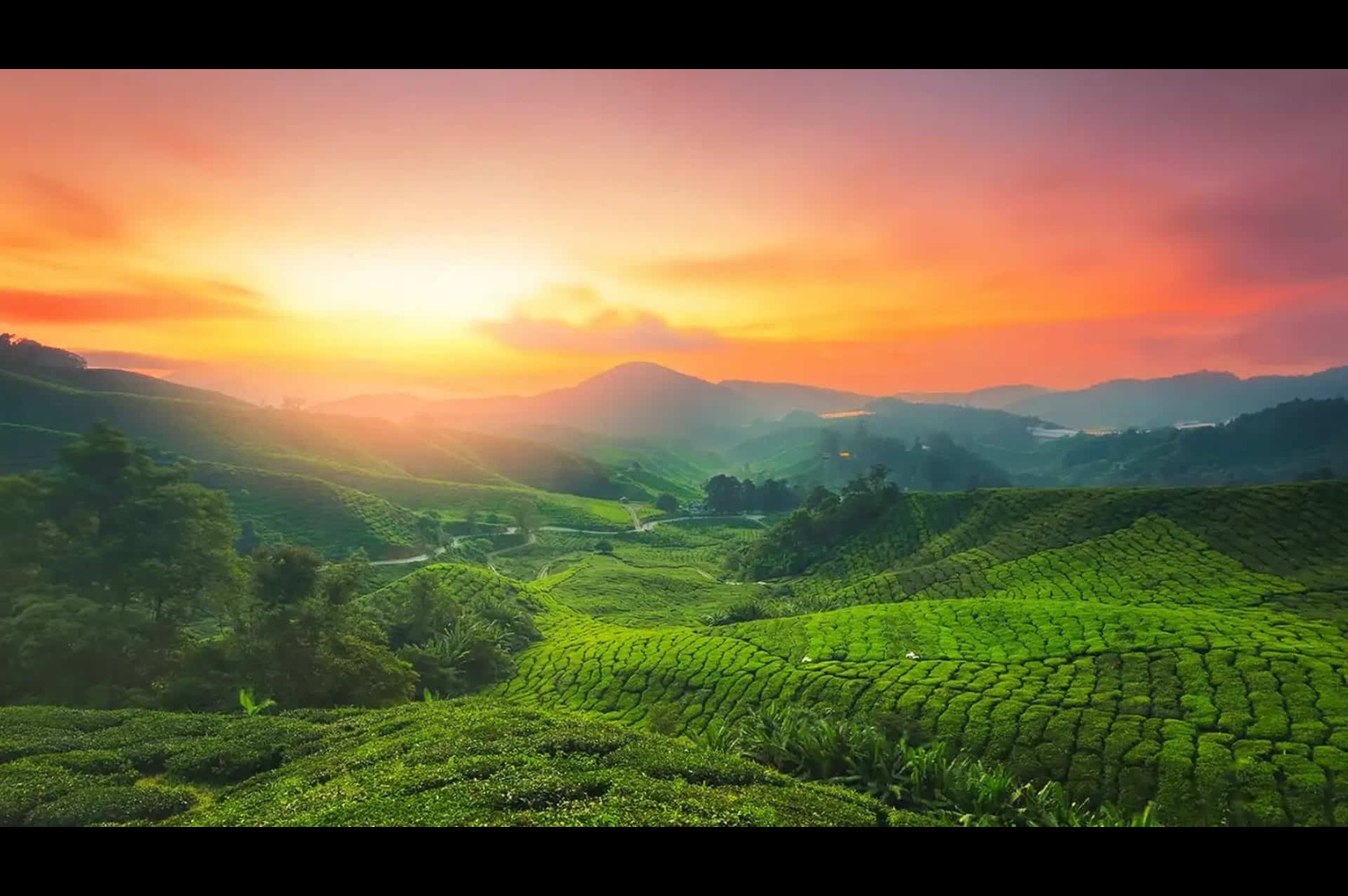 landscape Image