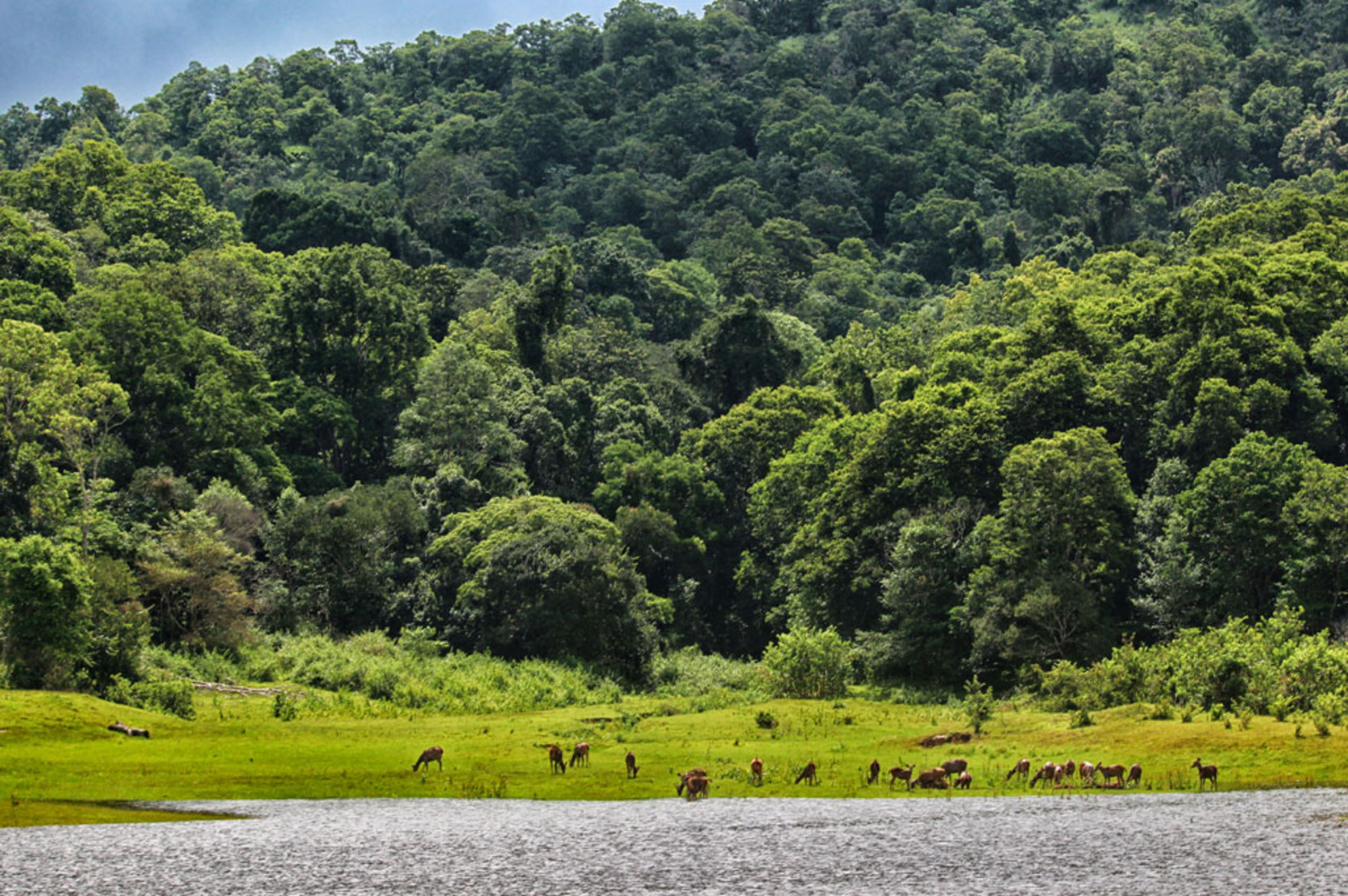 landscape Image