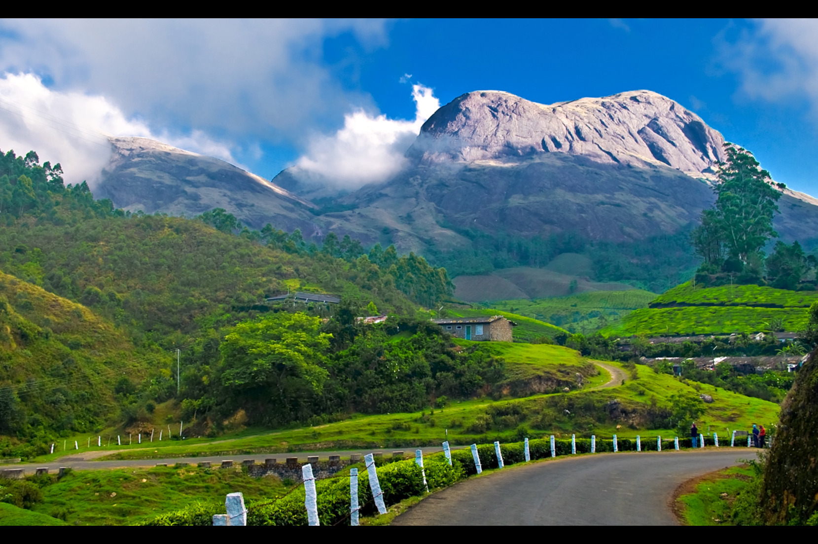 landscape Image