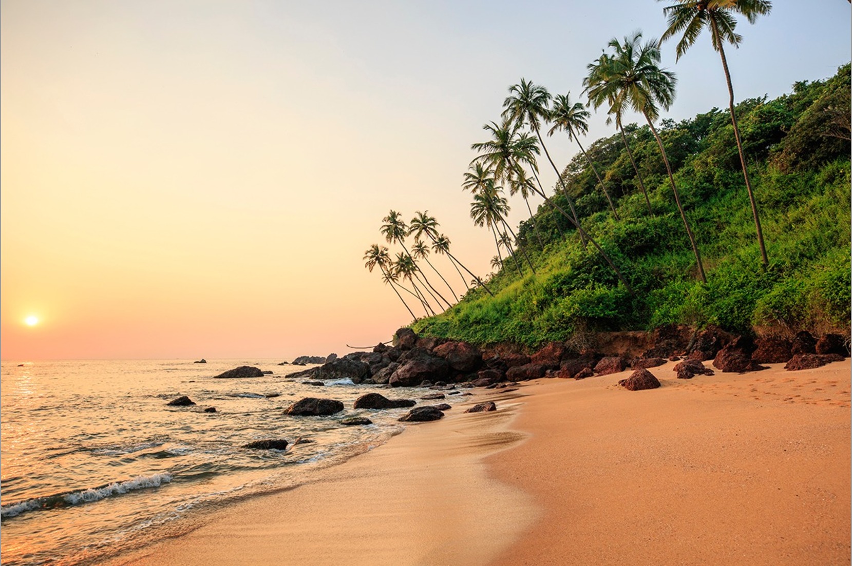 landscape Image